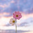 @amalsaid5373