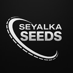 Seyalka_seeds