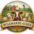 qGArZvqFPiM-channel-avatar-Willwards Acres