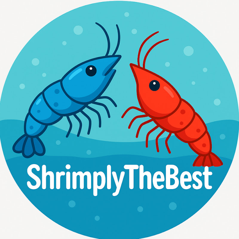 ShrimplyTheBest