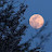 @moonfountian