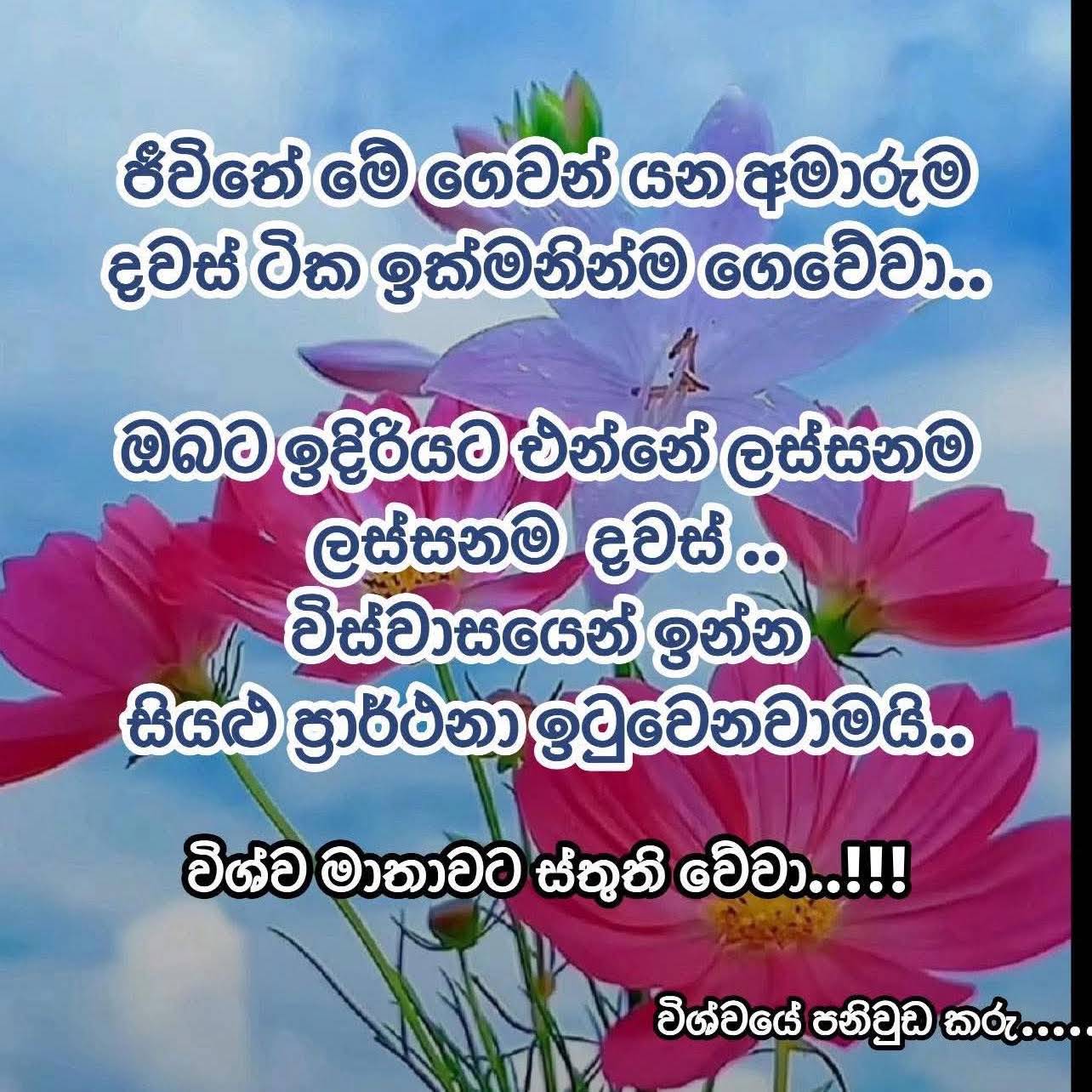 Post from Ayale 1111