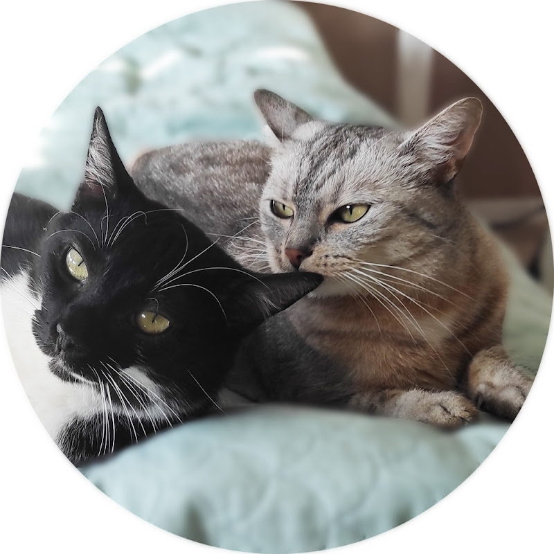 Lucy and Stitch