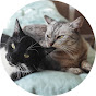 Lucy and Stitch