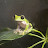 @Mistere1220 Avatar