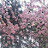 @평온가득