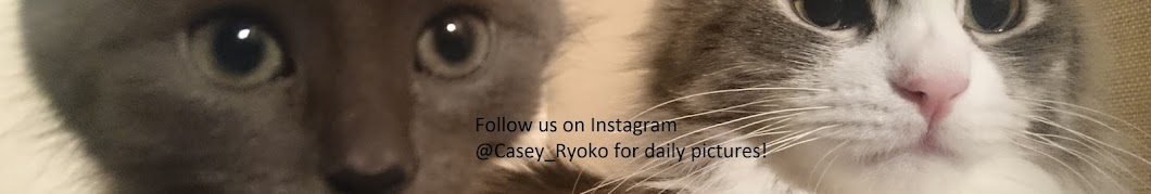 Casey Ryoko YouTube channel avatar