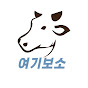 여기보소