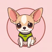 May the Chihuahua