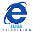 YuWZiCWX-Ok-channel-avatar-ELIZA TELEVISION