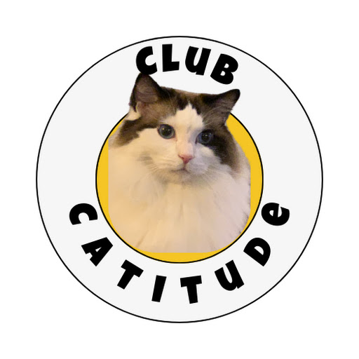 Club Catitude