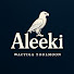 XP-RBq8e1-c-channel-avatar-Aleeki