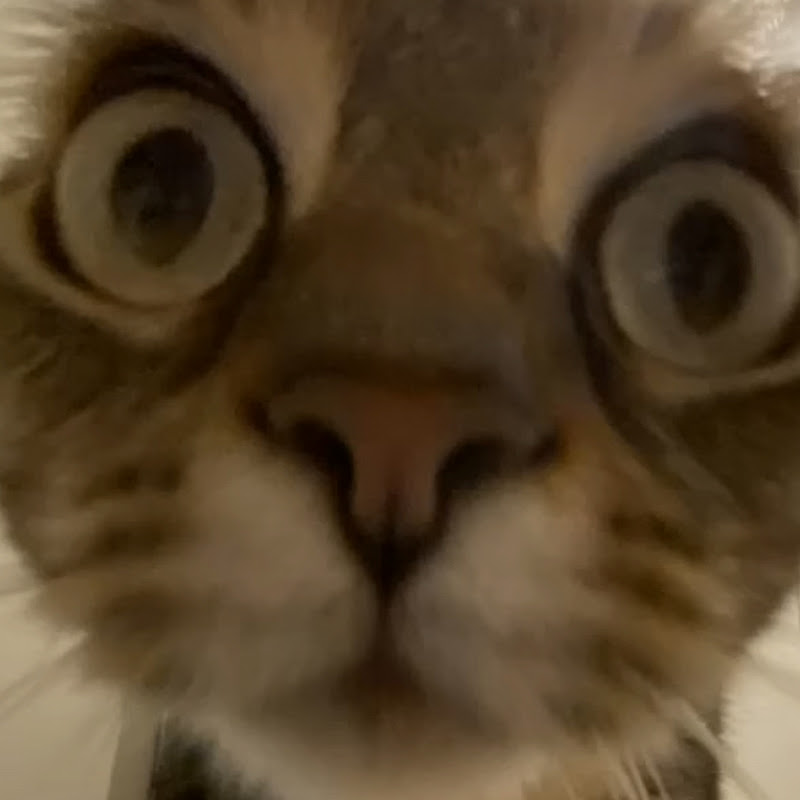 قطوتينو تونانينو مكافانينو