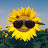 @sunny_man87200's avatar