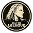 r_tg-l5kEVI-channel-avatar-David Gilmour Archives