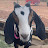 @GottaLoveGoats