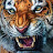 Tiger's Eye888