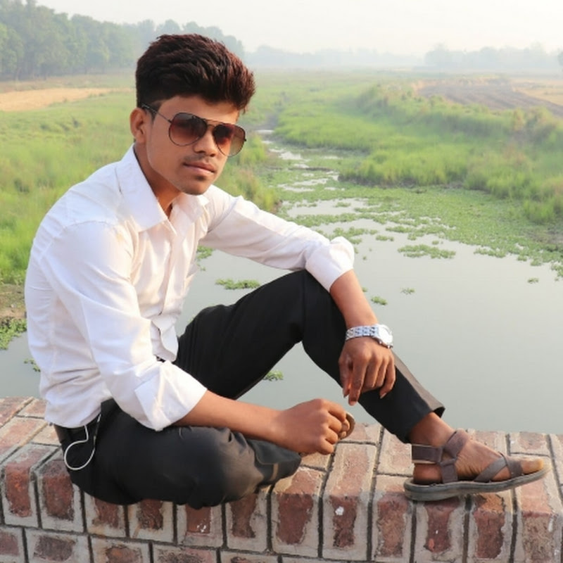 Its Dev Vlogger