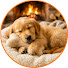 TAqsYFmthZs-channel-avatar-Doggo Melody