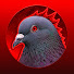 kios2Fzbe7c-channel-avatar-LarponeerX