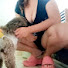 isO4_XbCQ9E-channel-avatar-SweetFunny Dog