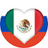 40o3KoGNXbc-channel-avatar-MEXIRUSOS