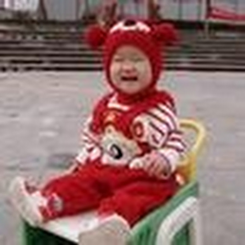 乔乔的游乐园