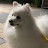 @솜아땅후니