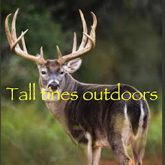 Tall tines outdoors