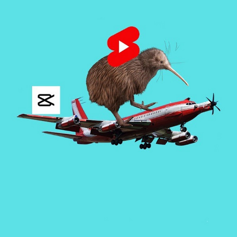Kiwi Aviation
