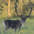 MjMSZcXYg2c-channel-avatar-Arctic Radio