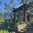 uXR_K4KtT8o-channel-avatar-Slow Cottage life Knuckles