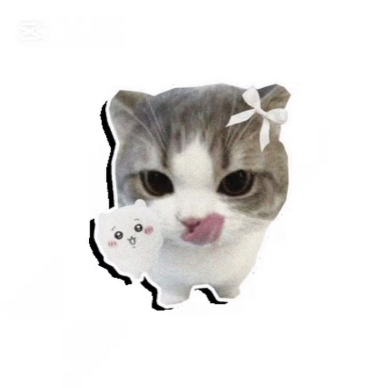 썽디