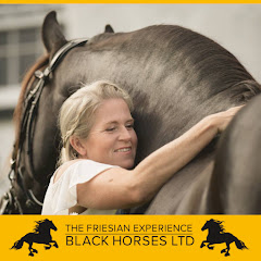 Black Horses - The Friesian Experience net worth