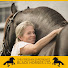 0I9vIopwIwM-channel-avatar-Black Horses - The Friesian Experience