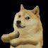 dSwonfq71-M-channel-avatar-Little doge man