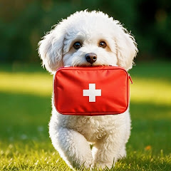 Brave Puppy Short Videos