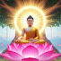 fMe5KjAJyyc-channel-avatar-မြတ်ဗုဒ္ဓတရားတော်များ