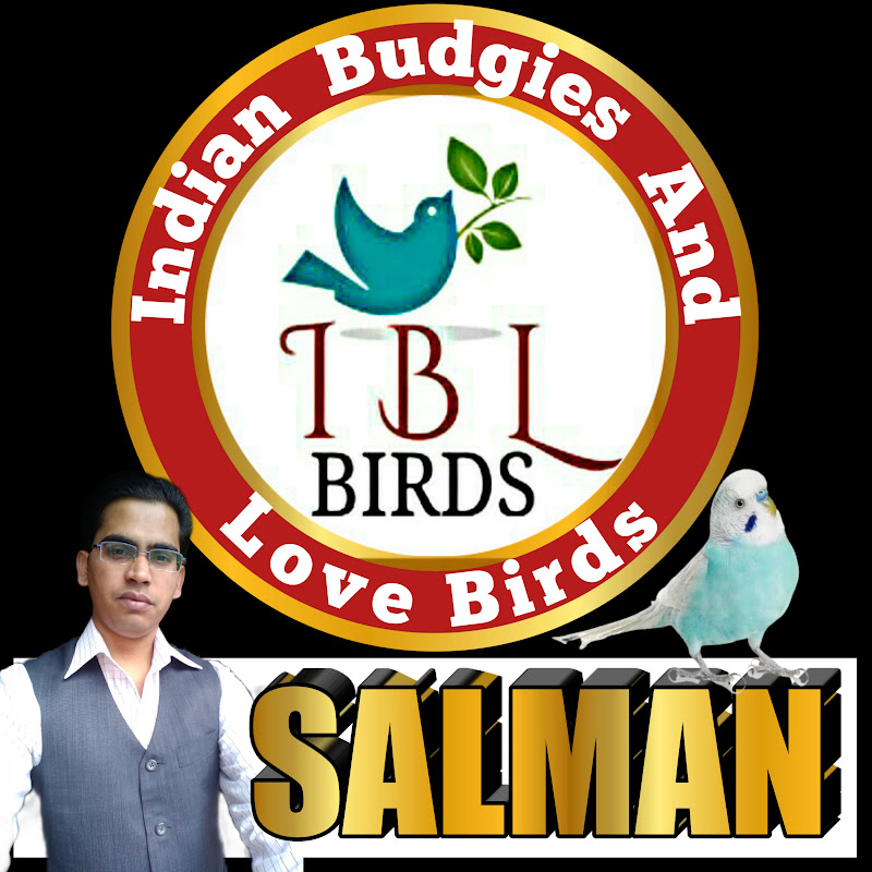 Indian Budgies and Love Birds