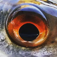 Podgląd kanału Okiem Wędkarza