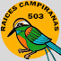 lQbs_-ydKzU-channel-avatar-RAICES CAMPIRANAS 503