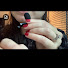 msglNEocJaI-channel-avatar-TStarASMR