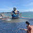 ms41gTG_xyM-channel-avatar-芷想旅遊