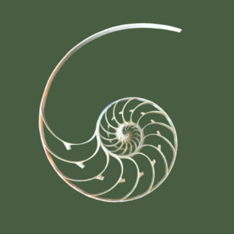 Terry Tao on the future of mathematics | Math, Inc.