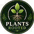 l_xheweNs70-channel-avatar-Plants Rooted 