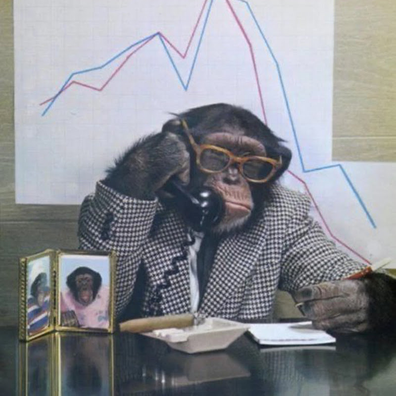 The look on his face says it all🤷‍♂️🫨🤣#fair#droptower#amusementpark#scream#funny