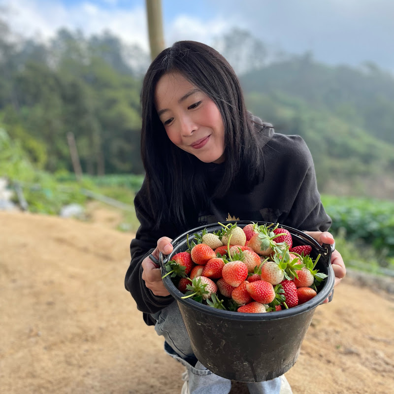 ammy.cheawtrakul