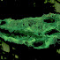 QTXLgHL9YvE-channel-avatar-Gabe Zeblarawr