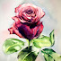 eShy9OnzjMw-channel-avatar-희젤 Heezel ®