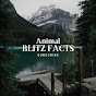 Animal Blitz Facts logo